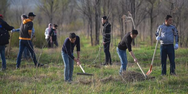 (Русский) Депутаты Жогорку Кенеша выйдут на субботник на бульваре Эркиндик